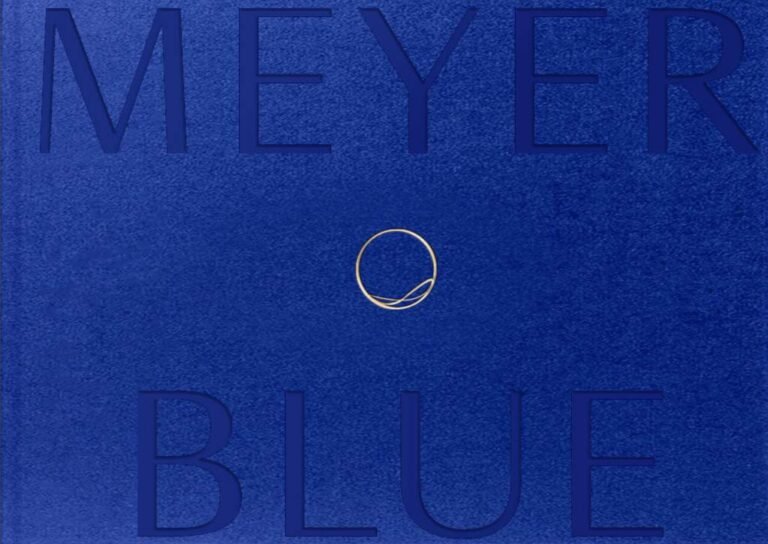 Meyer-Blue-ebrochure-cover-v2